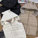 پافر گوشدار 1361