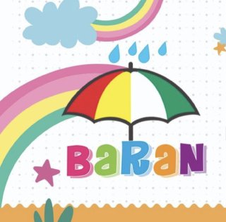 باران برند